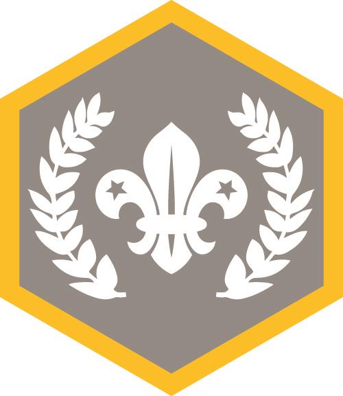 Pre-2019 Chief Scouts Silver Award